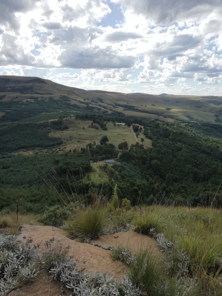 Die 3 Vrystaters en Flippie klim die berg 8